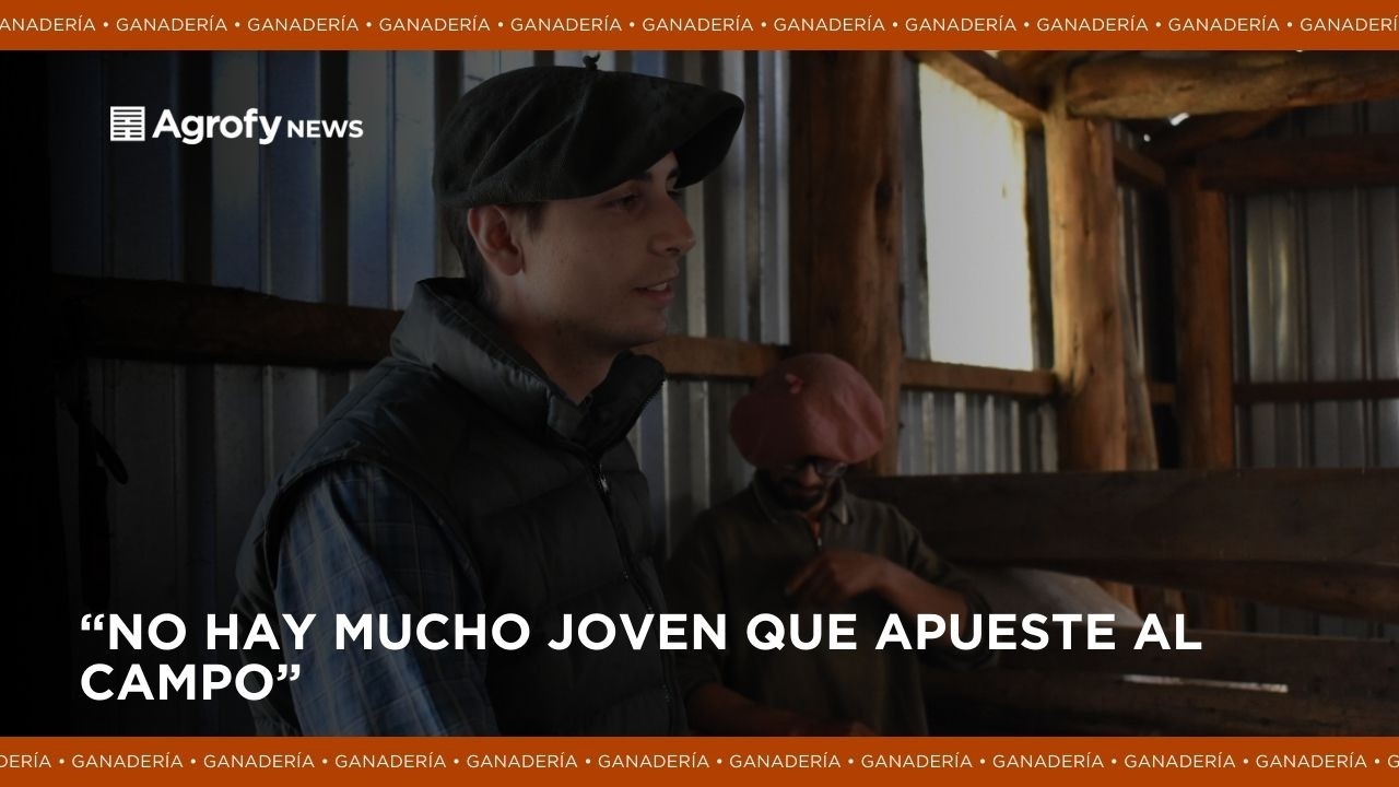 Llegaron en 1936 y junto a la cuarta generación familiar ya manejan 5000 ovejas