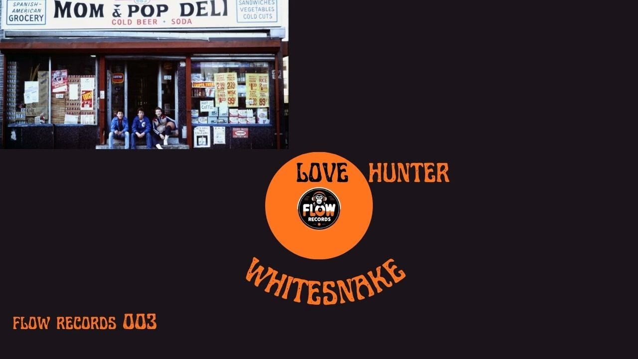 cover IA love hunter  whitesnake funk early 80's version