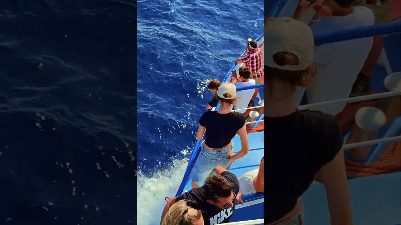 Skiathos #travel #greece #skiathos #dolphin