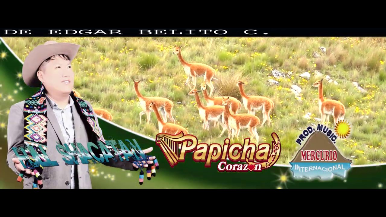 PAPICHA CORAZON EN 4K ✅ FULL SHACATAN 2020 CEL 980602727.