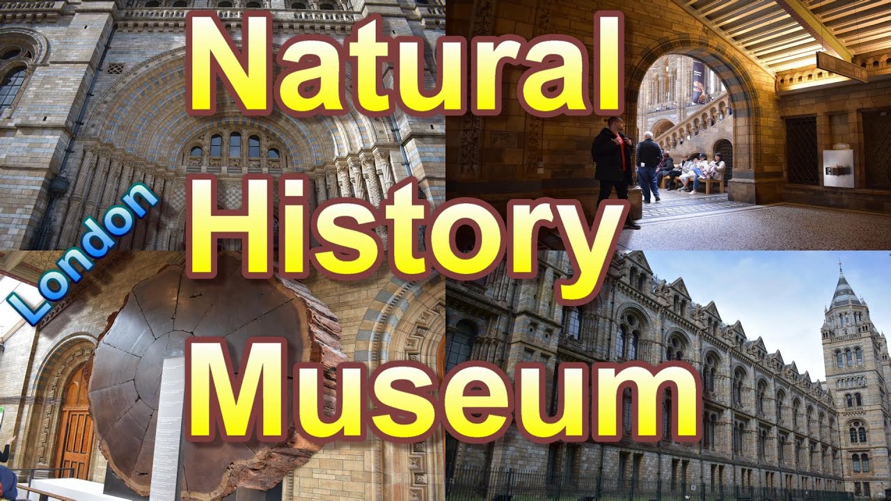 Natural History Museum of London