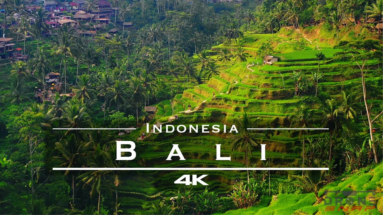 Bali, Indonesia 🇮🇩 - by drone [4K]