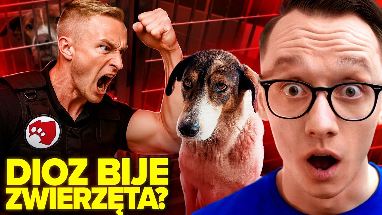 TO KONIEC DIOZ? KOLEJNE POWAŻNE OSKARŻENIA WOBEC KONTROWERSYJNEJ FUNDACJI