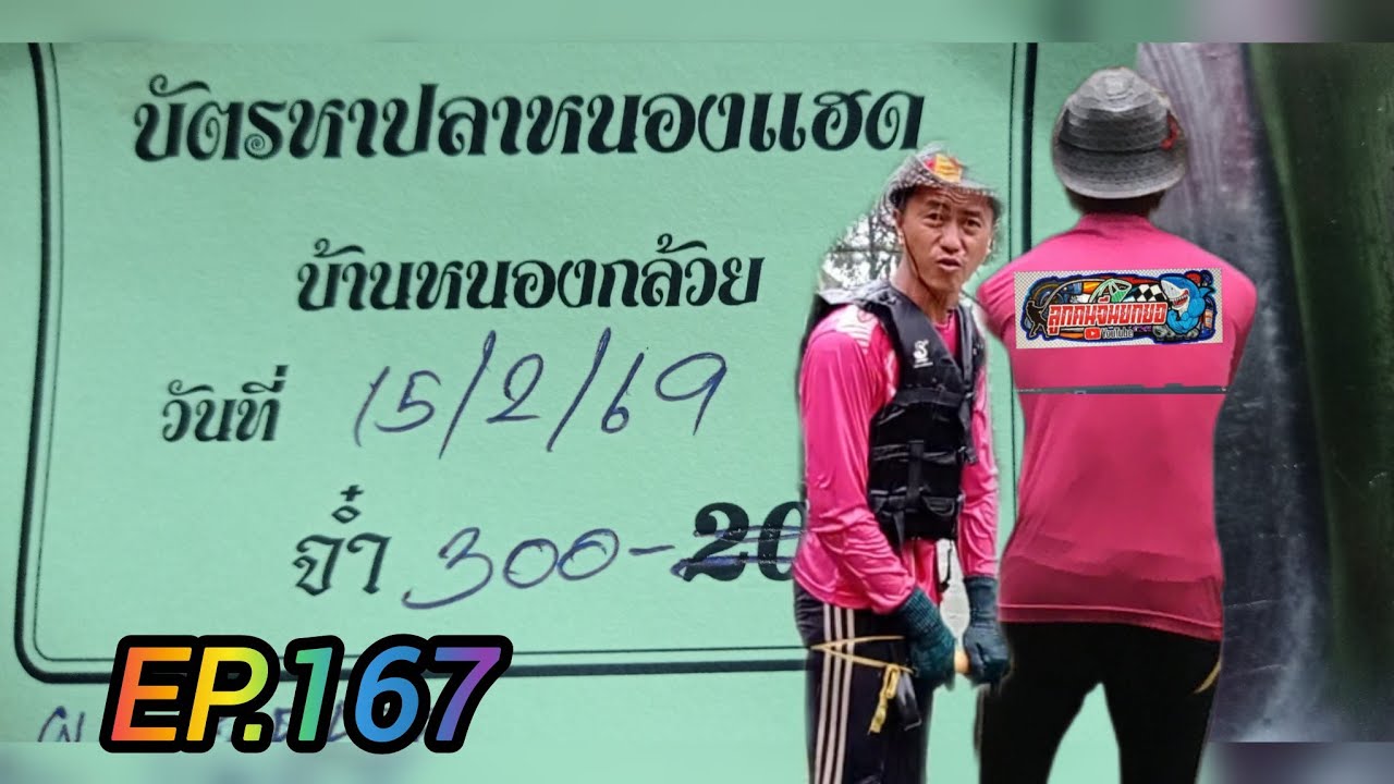ยกยอหาปลา บัตร 300 บาท บ้านหนองป่ากล้วย หนองแฮด ต.โยนก อ.เชียงแสน จ.เชียงราย