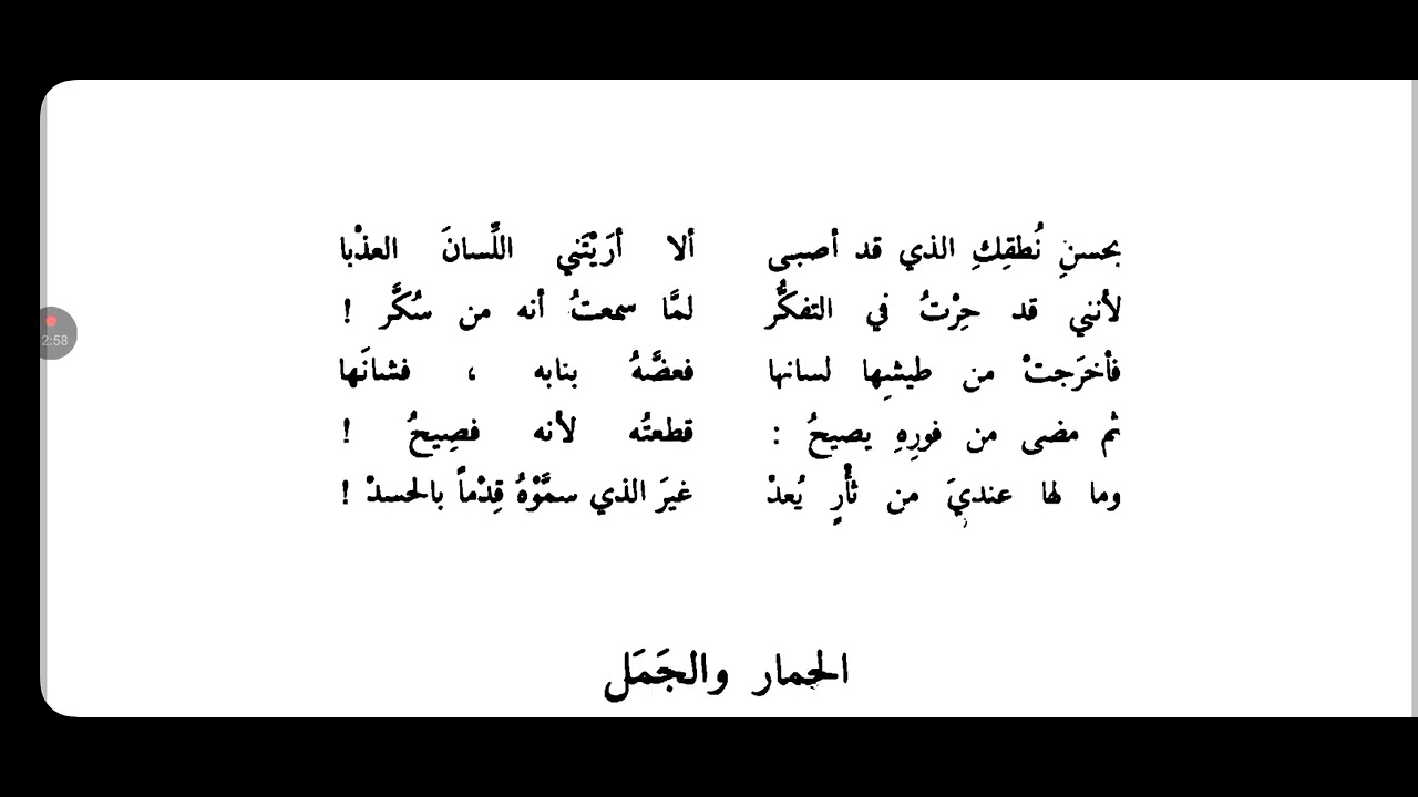 الكلب والببغاء