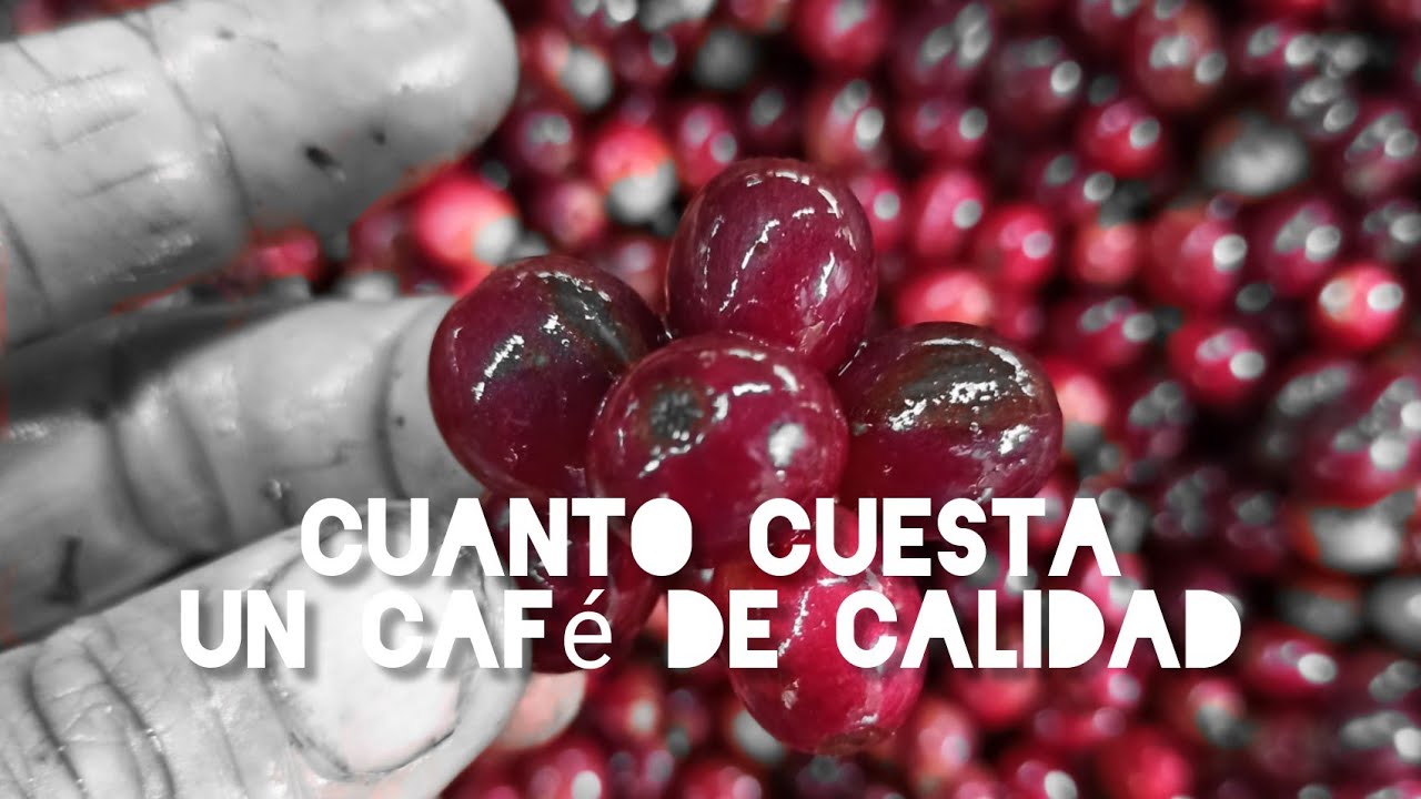 CAFE de COLOMBIA, PRECIO, CALIDADES y la TRAZABILIDAD  del ORIGEN