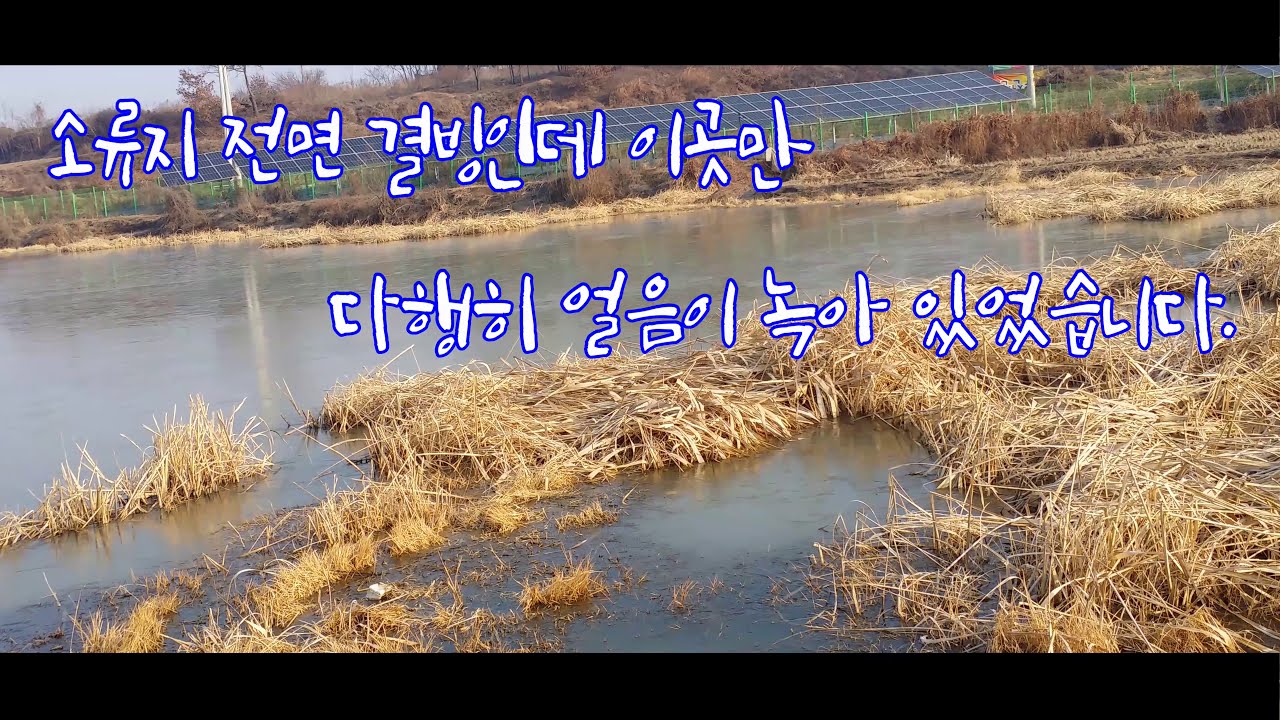 41회 [여주 가남면 소류지]#일산지에서