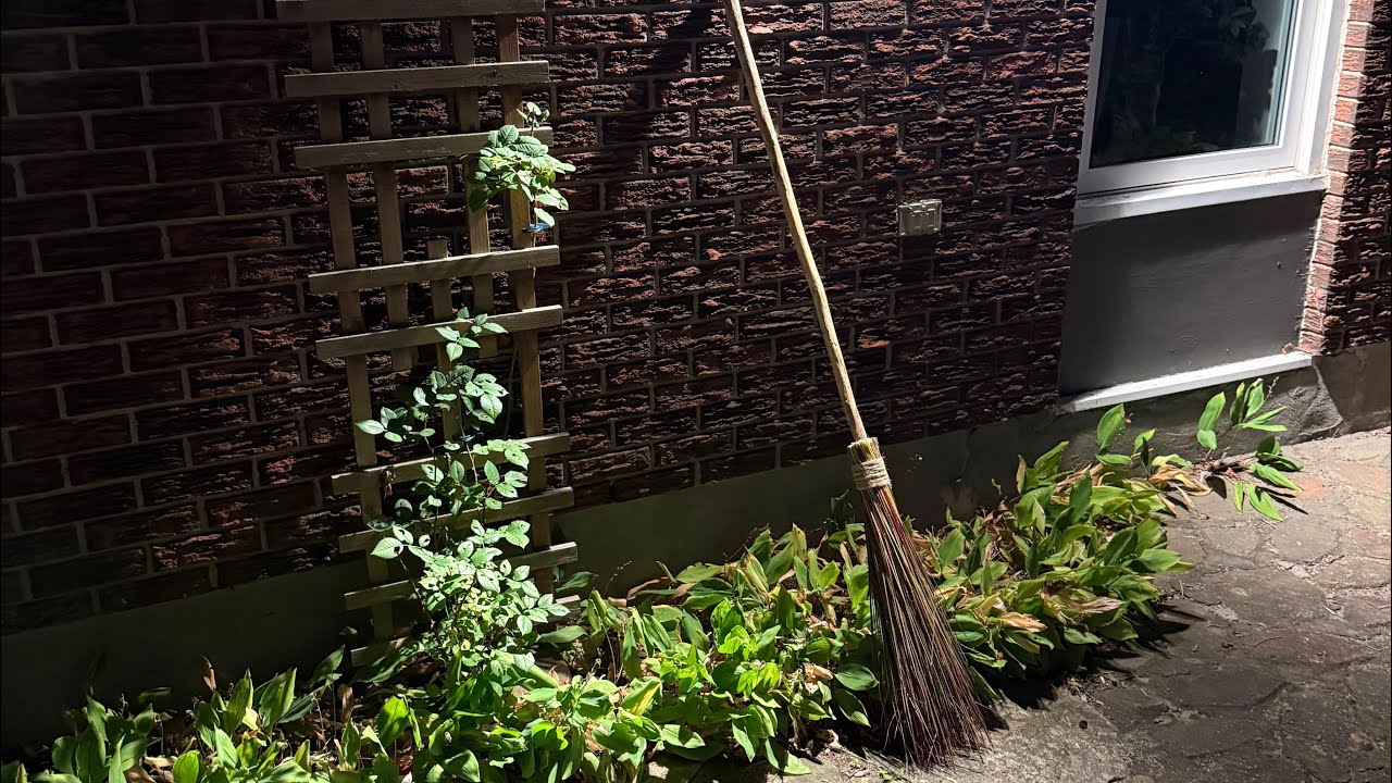 Make a costume witch’s broom 🧟‍♀️🧹