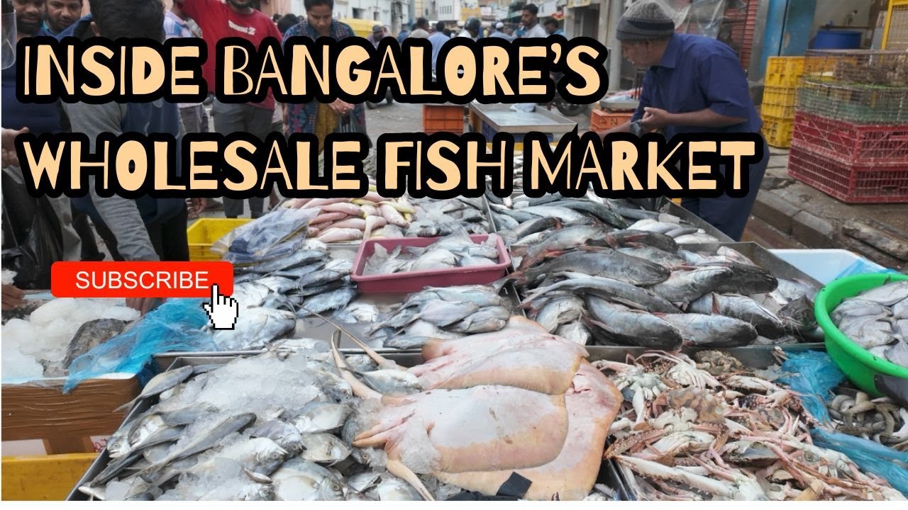 BANGALORE FISH MARKET EXPERIENCE VLOG