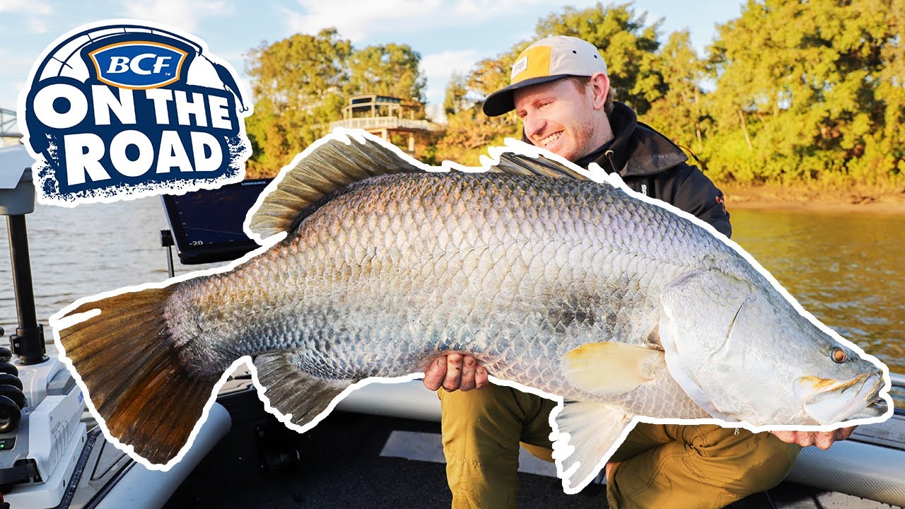 Trophy Barra or Bust! Let The Fitzroy River Fish-Off Begin!
