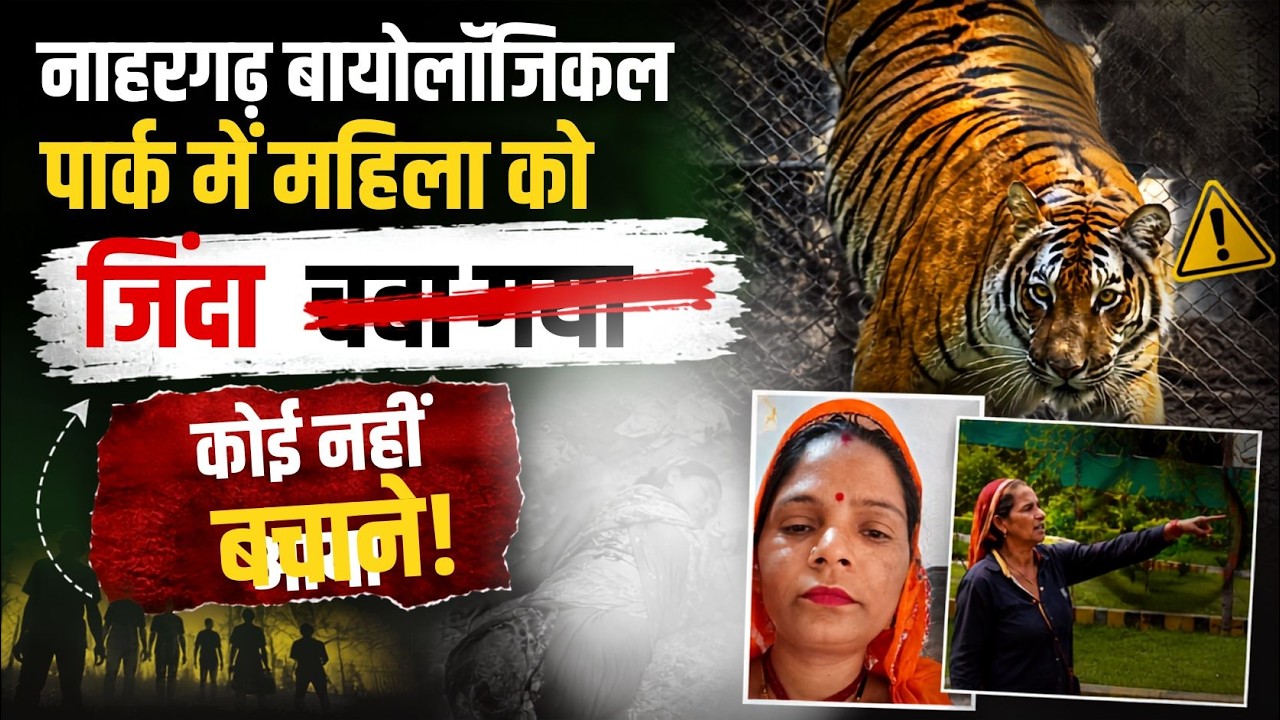 Nahargarh: नाहरगढ़ बायोलॉजिकल पार्क में महिला को जिंदा च* गया बाघ! | Tiger