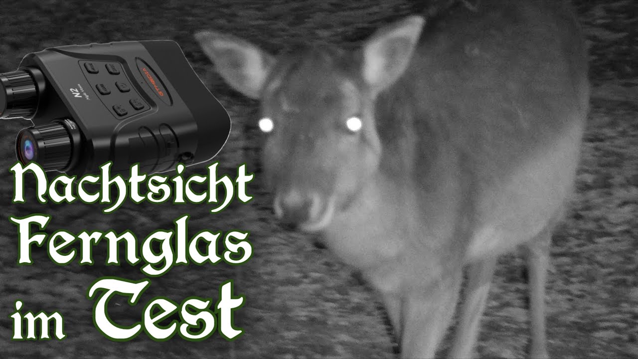 Wir testen ein günstiges NACHTSICHT Fernglas - Lohnt sich das?