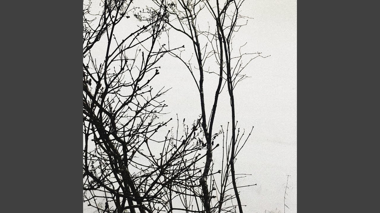 пока наледью кроется мир