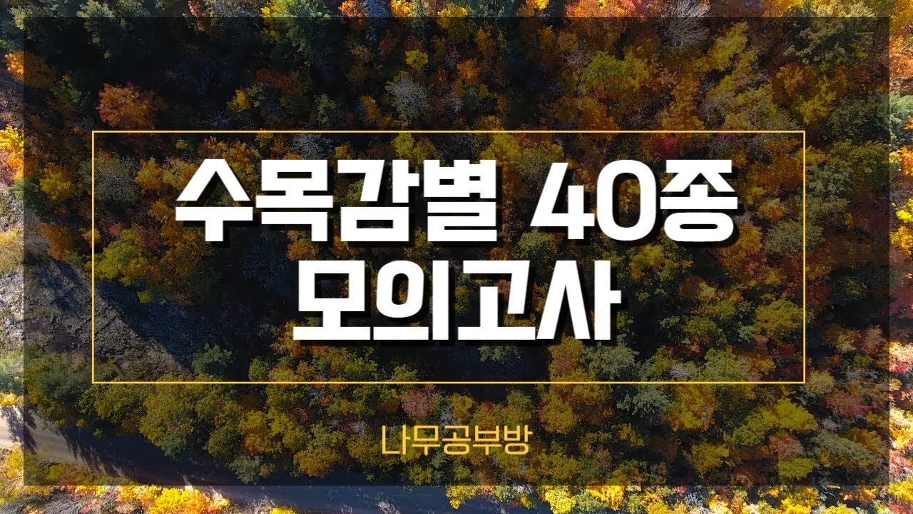 모의고사 40종 (7) / 조경기능사 실기 / 수목감별 표준수종 120종