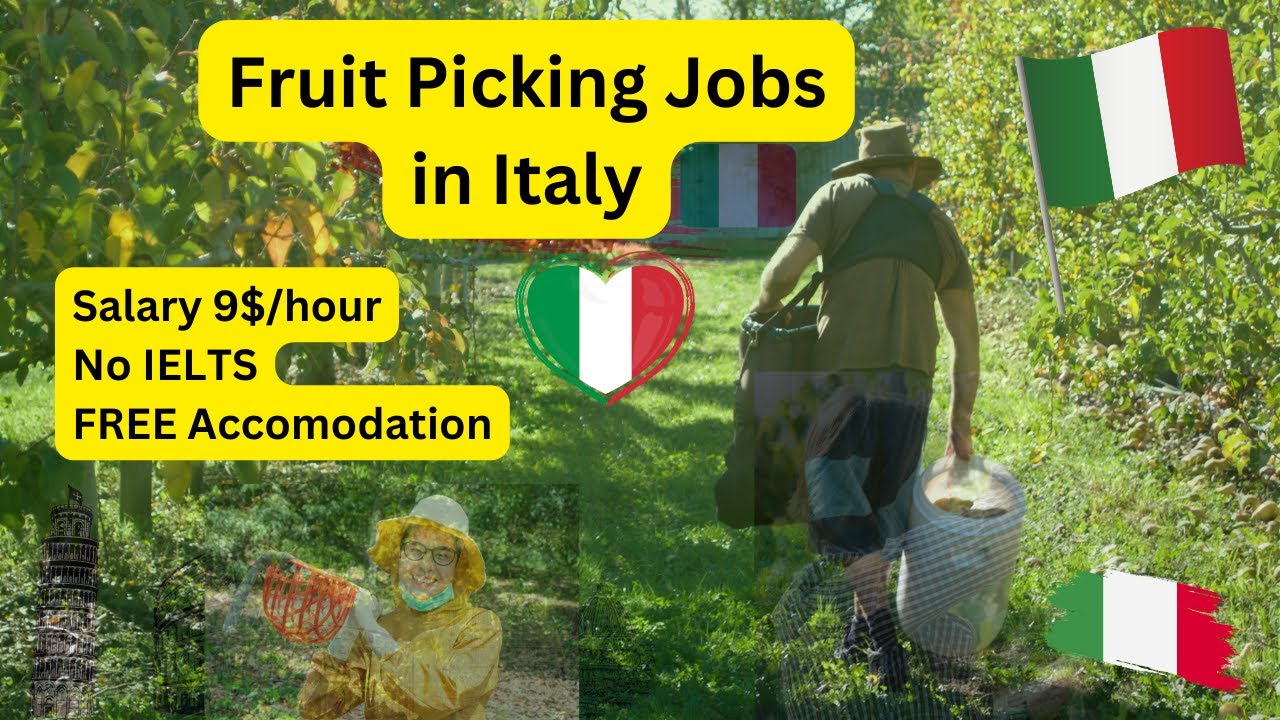 Fruit Picker Jobs in Italy | Farm Worker Jobs in Italy