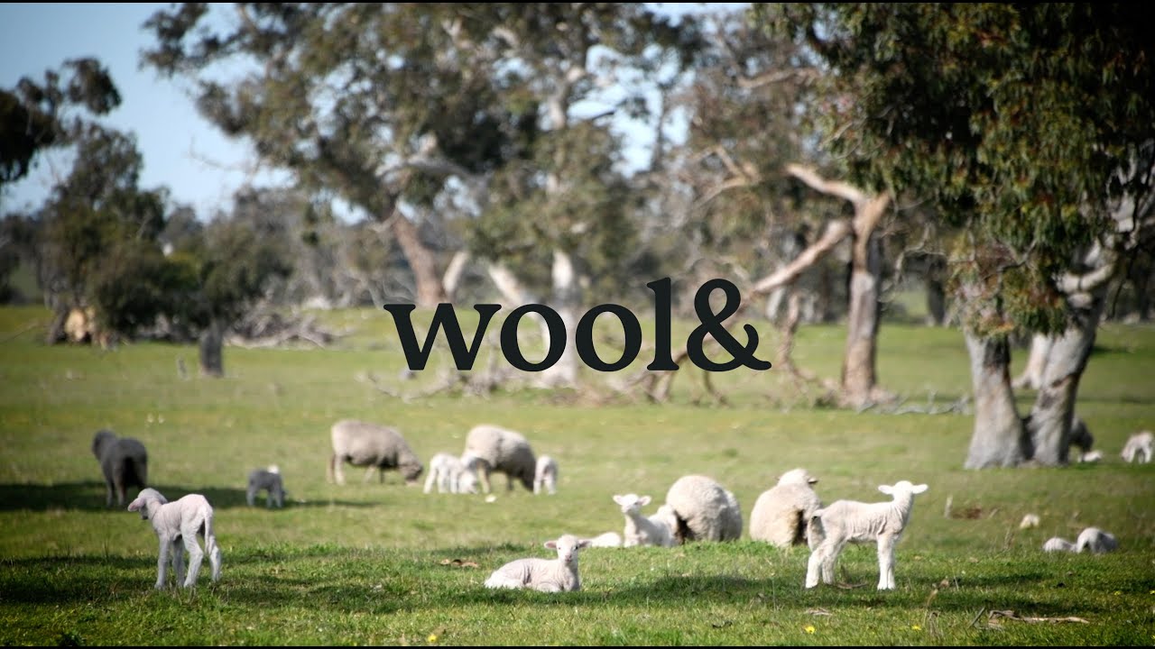 Wool&'s traceable Merino wool collection