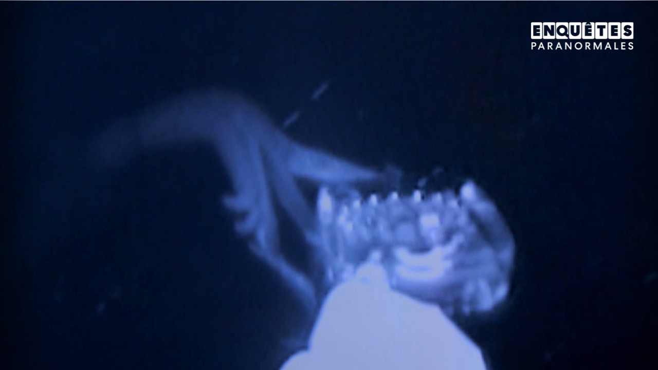 1965 : Un témoignage classifié révèle la présence d'un monstre marin au fond de l'océan