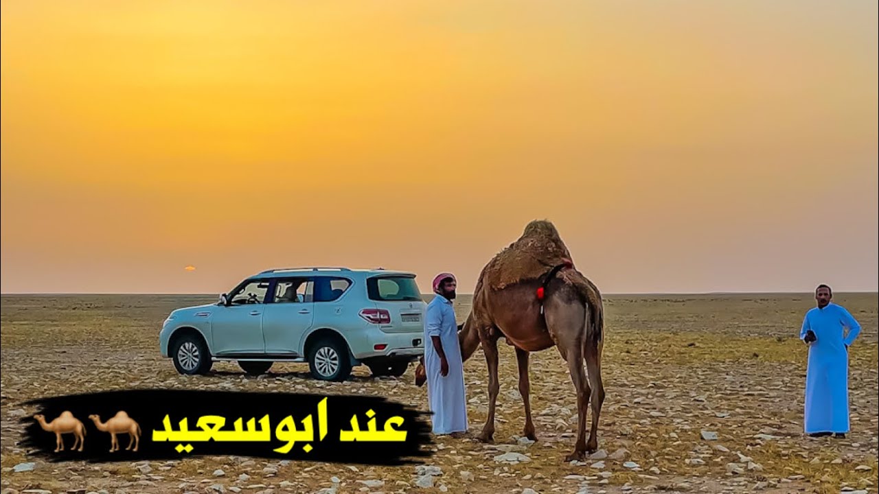 سلسلة الصحراء_ تمشية عصريه عند سعود