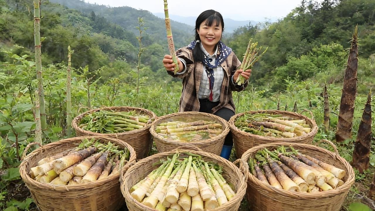 挑战摆摊卖城里人少见的野菜酸汤杆！带着农村独有的新鲜滋味，不知道大家敢不敢大胆尝鲜呢？【燕麦行游】