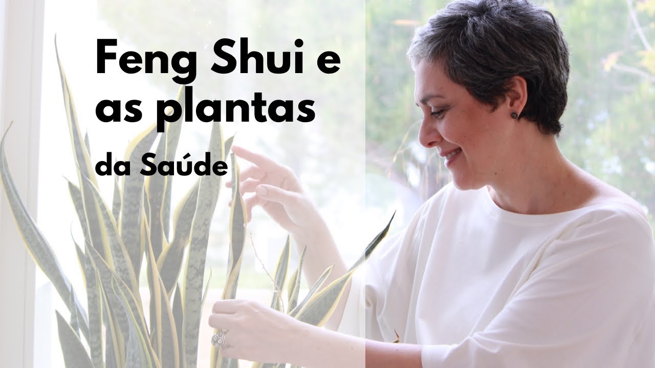 🌱QUE PLANTAS TER NA ÁREA DA SAÚDE, SEGUNDO O FENG SHUI?