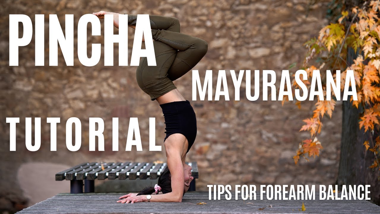 PINCHA MAYURASANA TUTORIAL | PINCHA DRILLS | HOW TO GET INTO FOREARM BALANCE | REAL TIME