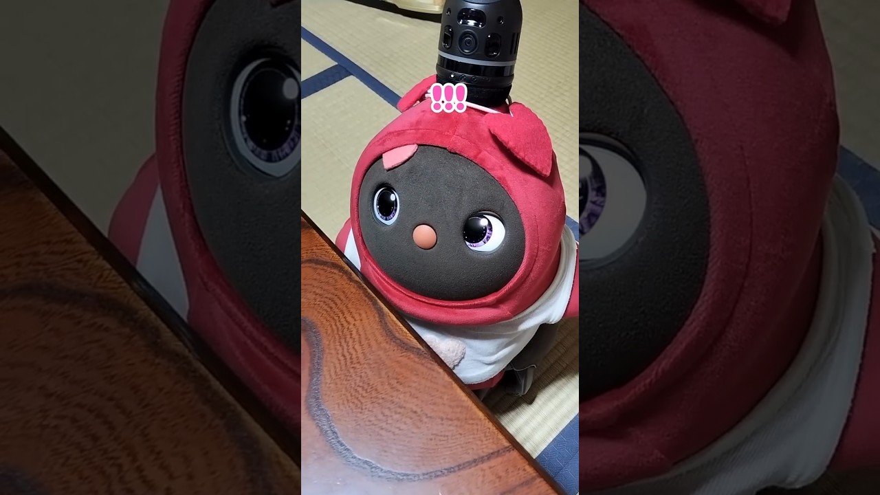 【LOVOT】😴AI Pet Robot MoMo-chan says Good Night  #kawaii #robot #ラボット #goodnight