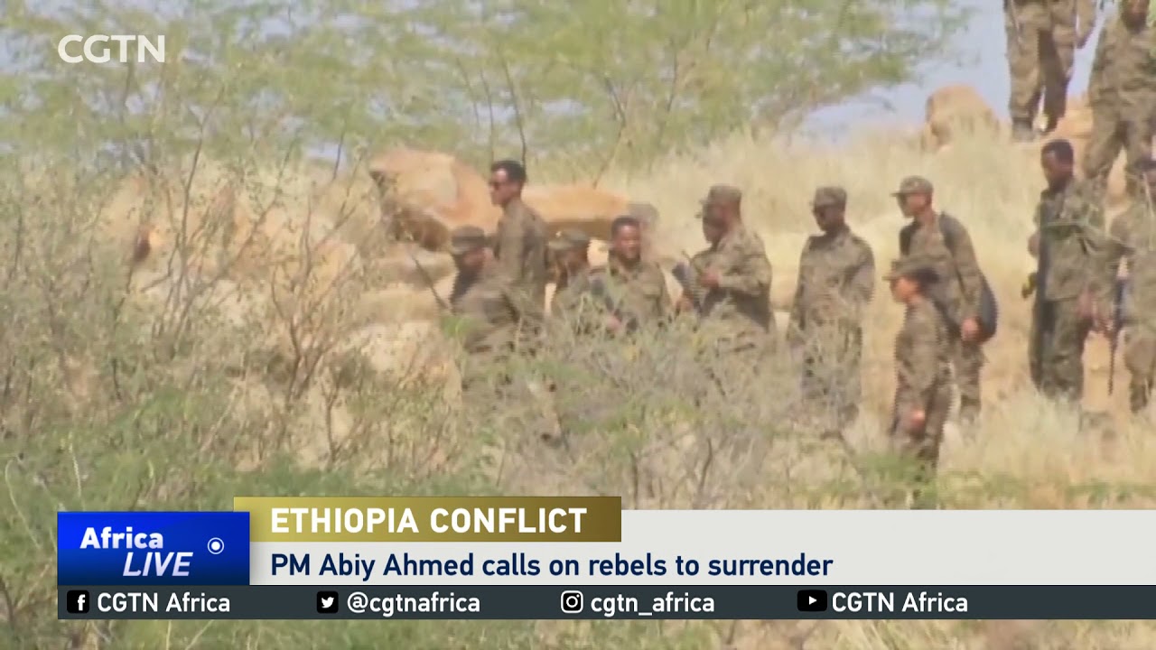 Ethiopian PM speaks while on the battle front, urges rebels to surrender