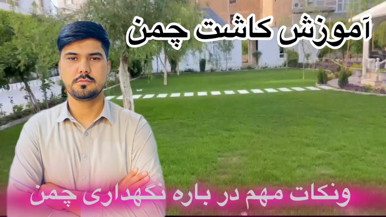 کاشت چمن و نکات مهم درباره نگهداری آن 