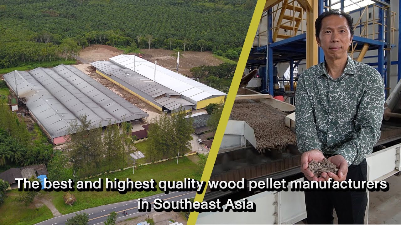 The best and highest quality wood pellet manufacturers in Southeast Asia (PNP GROUP)