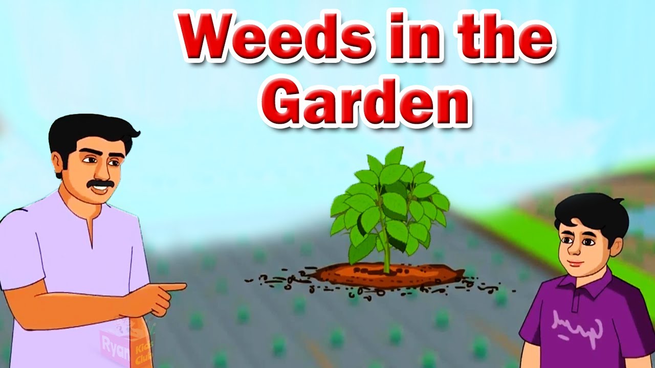 Weeds in the Garden | Story for Kids | English | Bedtime Moral Stories for Kids | Moral Stories