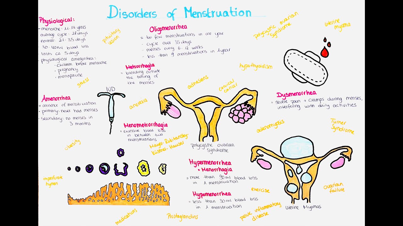 Menstruation - Physiology and Disorders; Amenorrhea, Oligomenorrhea, Hypermenorrhea, Dysmenorrhea