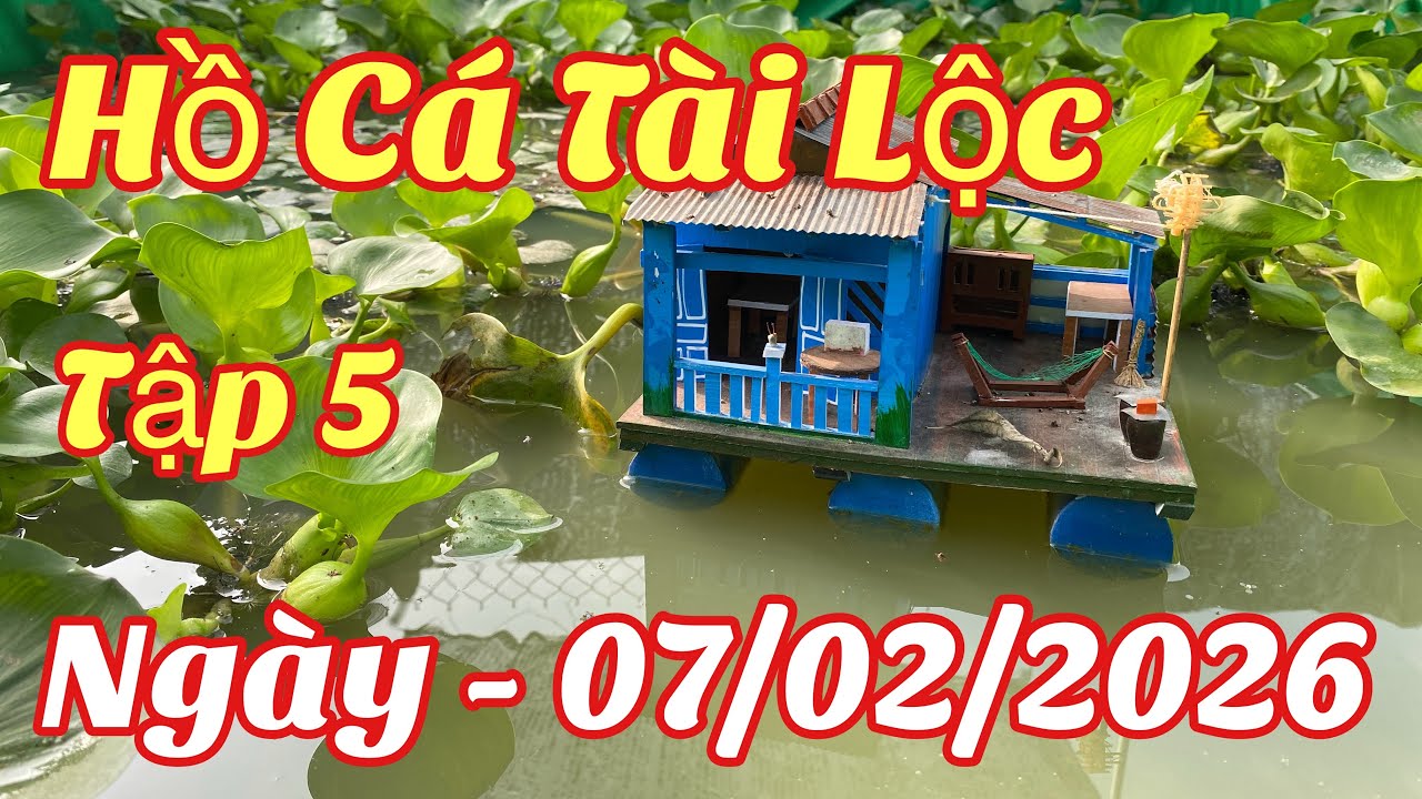 Hồ Cá Nhà Em Lâm 78 Chia Sẽ Chổ Nuôi Cá Tập 4