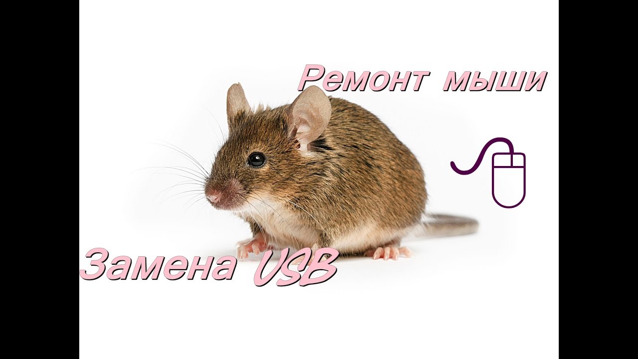 РЕМОНТ МЫШИ. ЗАМЕНА USB.