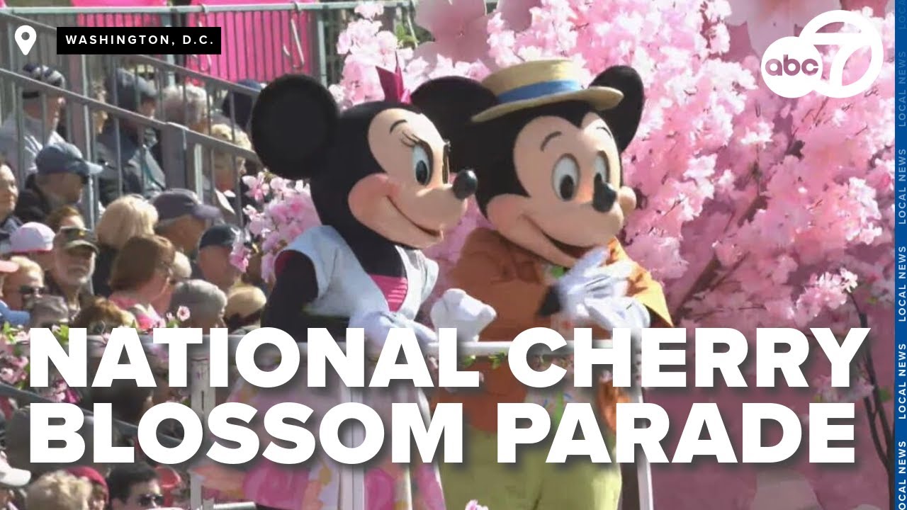 Highlights from the 2025 National Cherry Blossom Festival in Washington, DC