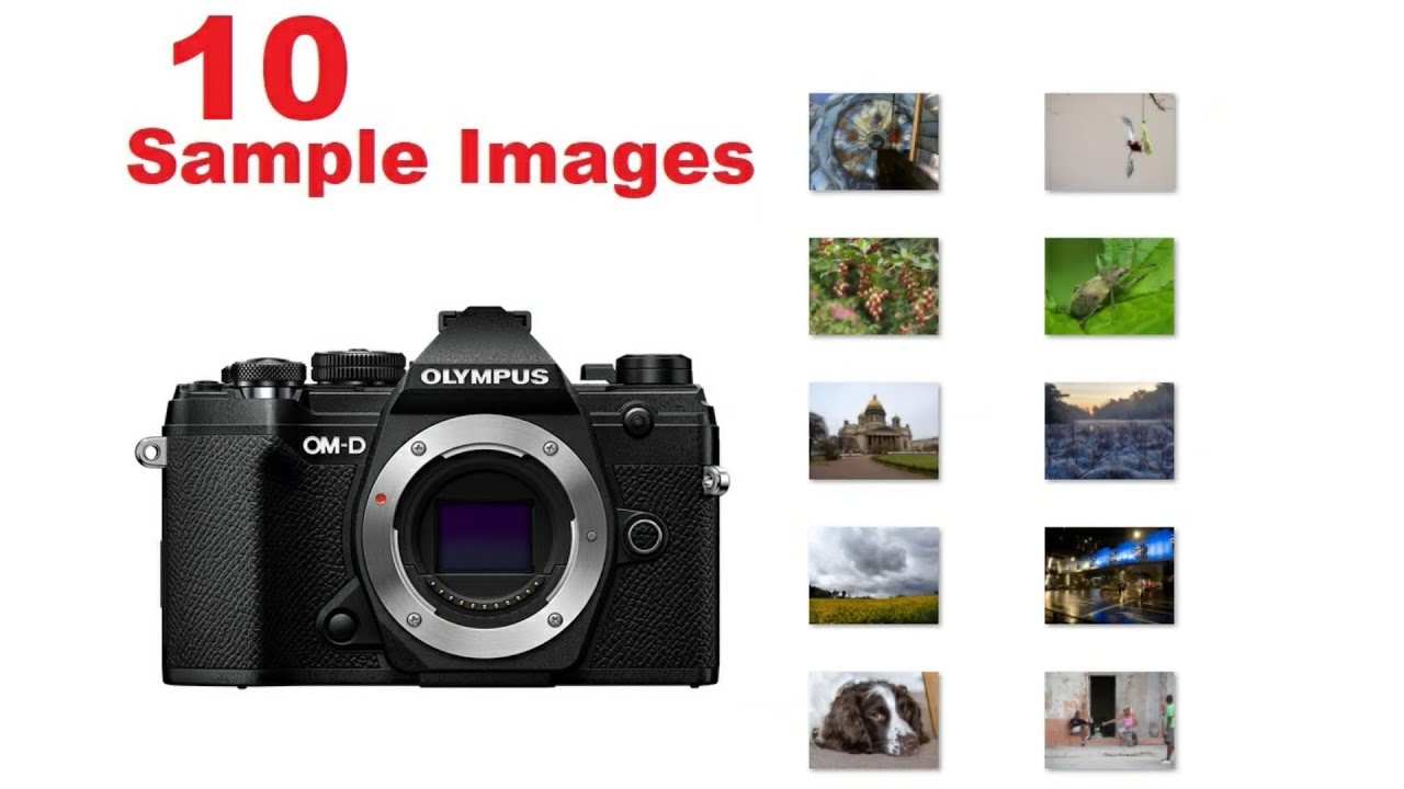 OMD EM5 Mark III Sample Images [Micro Four Thirds] Small Mirrorless Camera with Great Capabilities