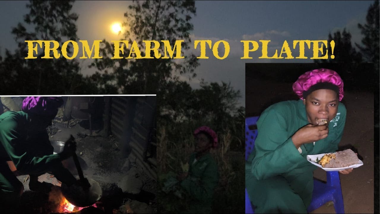 FROM FARM TO PLATE: COOKING OVER FIREWOOD- A PURE ORGANIC MEAL AT CHOLLA FARM VENTURES!