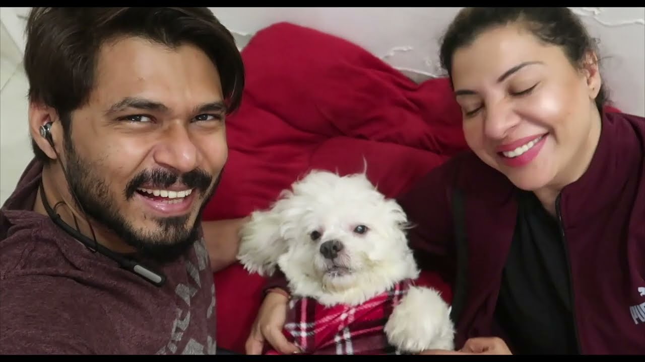Dogs U.S Costumes Trial | Ss Vlogs :-)