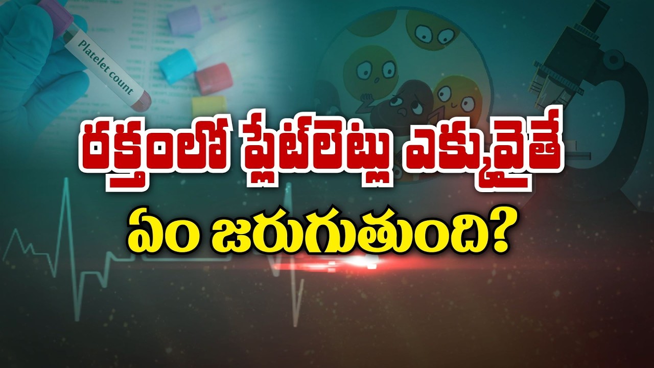 రక్తంలో ప్లేట్ లెట్ల ఎక్కువైతే ఏం జరుగుతుంది ? | What if platelets high in Blood ? | Sukhibhava