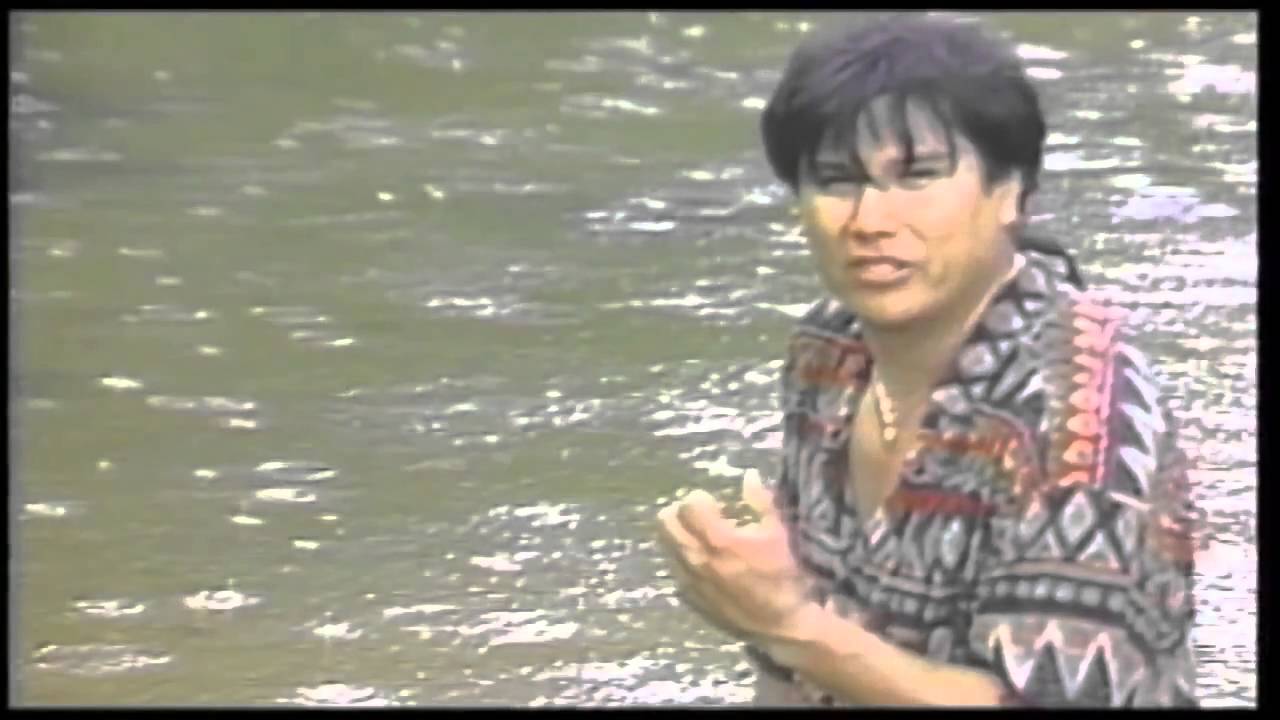 Los Kjarkas   Ave de Cristal HD Videl Oficial