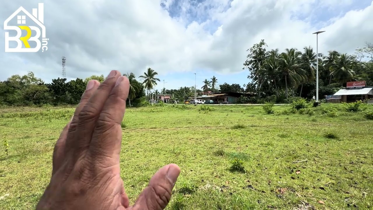 PHP 31 MILLION PESOS RESIDENTIAL AND COMMERCIAL LOT IN DAUIS PANGLAO ISLAND OF BOHOL | CLEAN TITLED