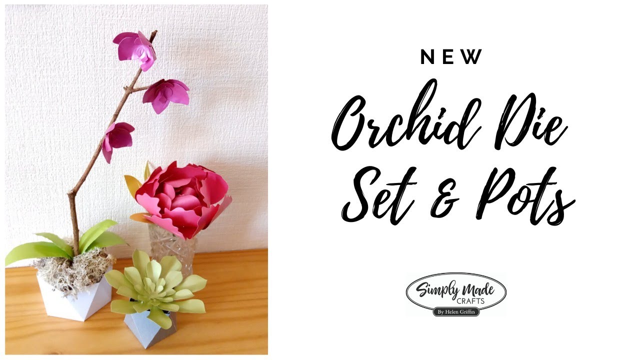 LIVE | New Orchid & Pretty Pots | Simply Made Crafts