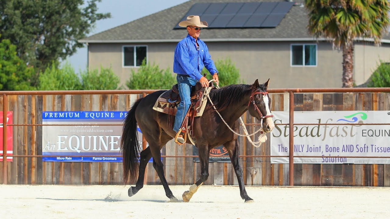 First Ride Outside on my Off The Track Thoroughbred