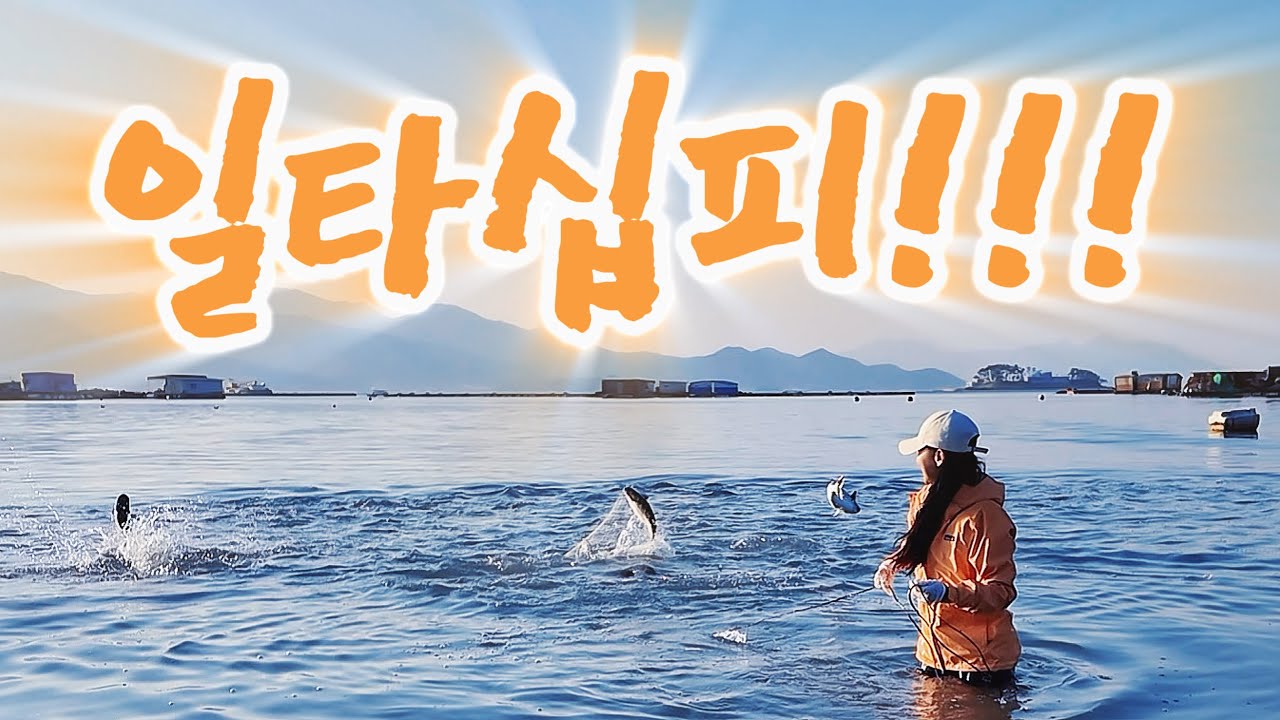 투망🕸️한 번 던졌는데 바다가 터졌다..!💥