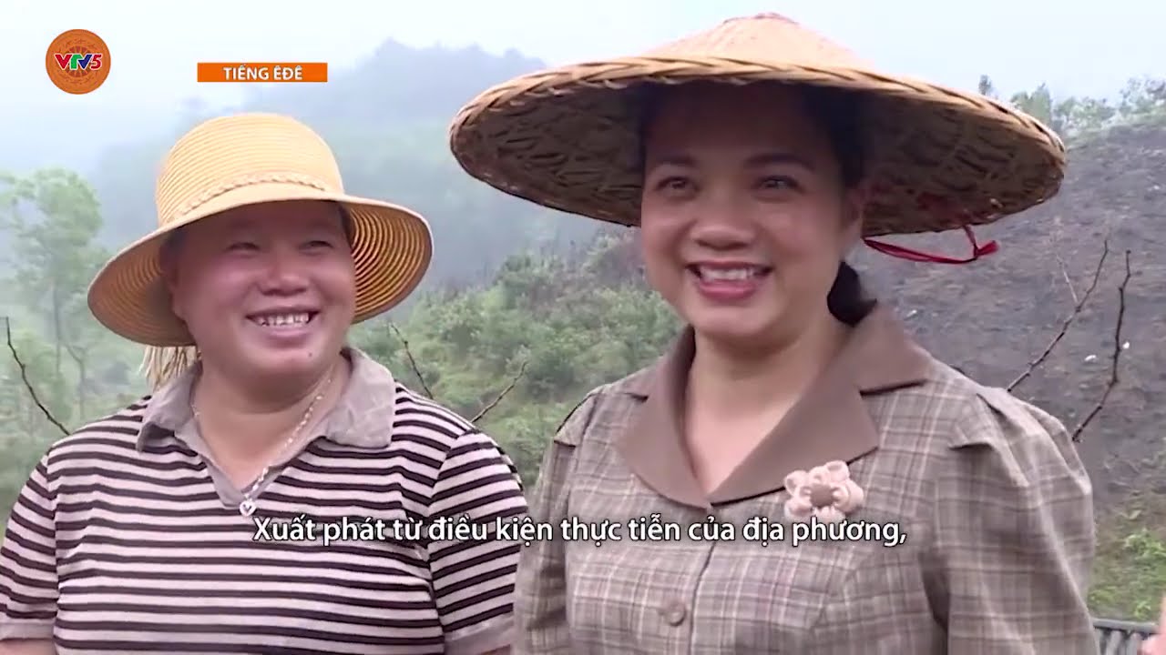 [TIẾNG Ê ĐÊ] HỢP TÁC XÃ ĐỘNG LỰC ĐỂ XÂY DỰNG NÔNG THÔN MỚI | VTV5