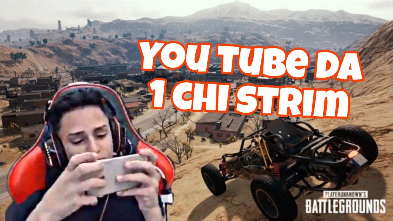 livik top 1