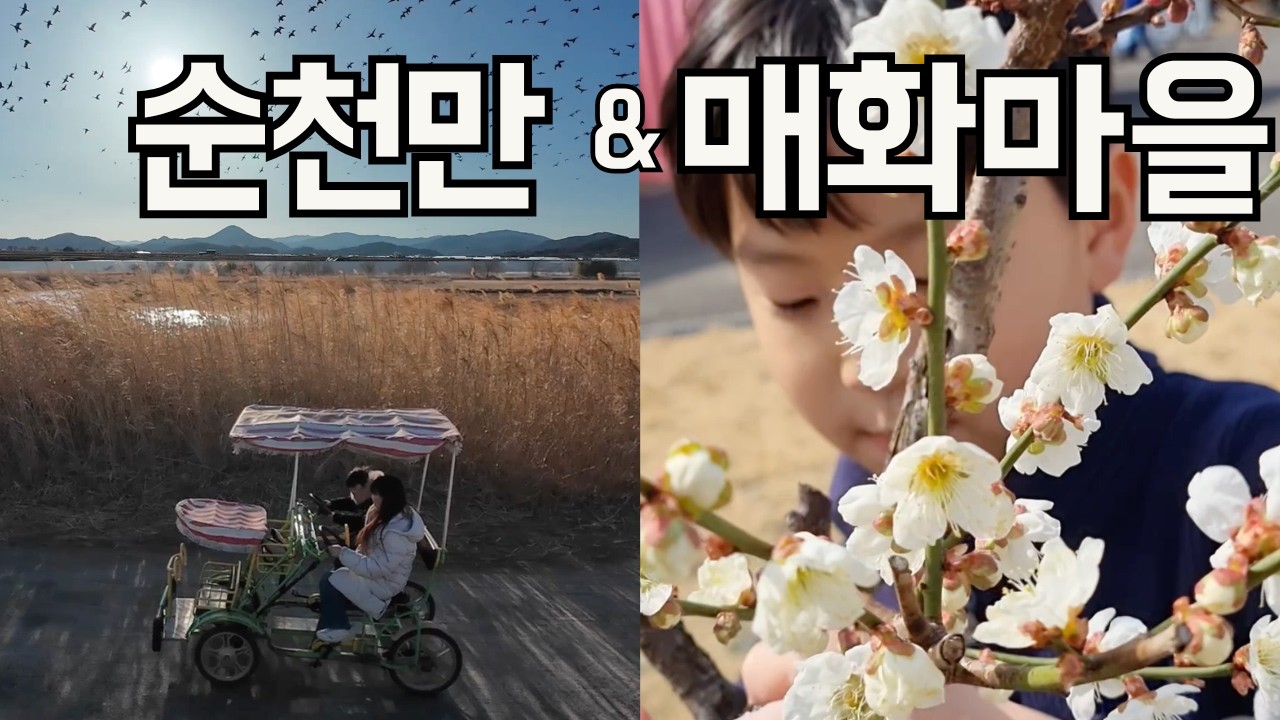 순천만 습지 & 광양 매화마을 가족 여행 | 9살 아들과 봄 나들이