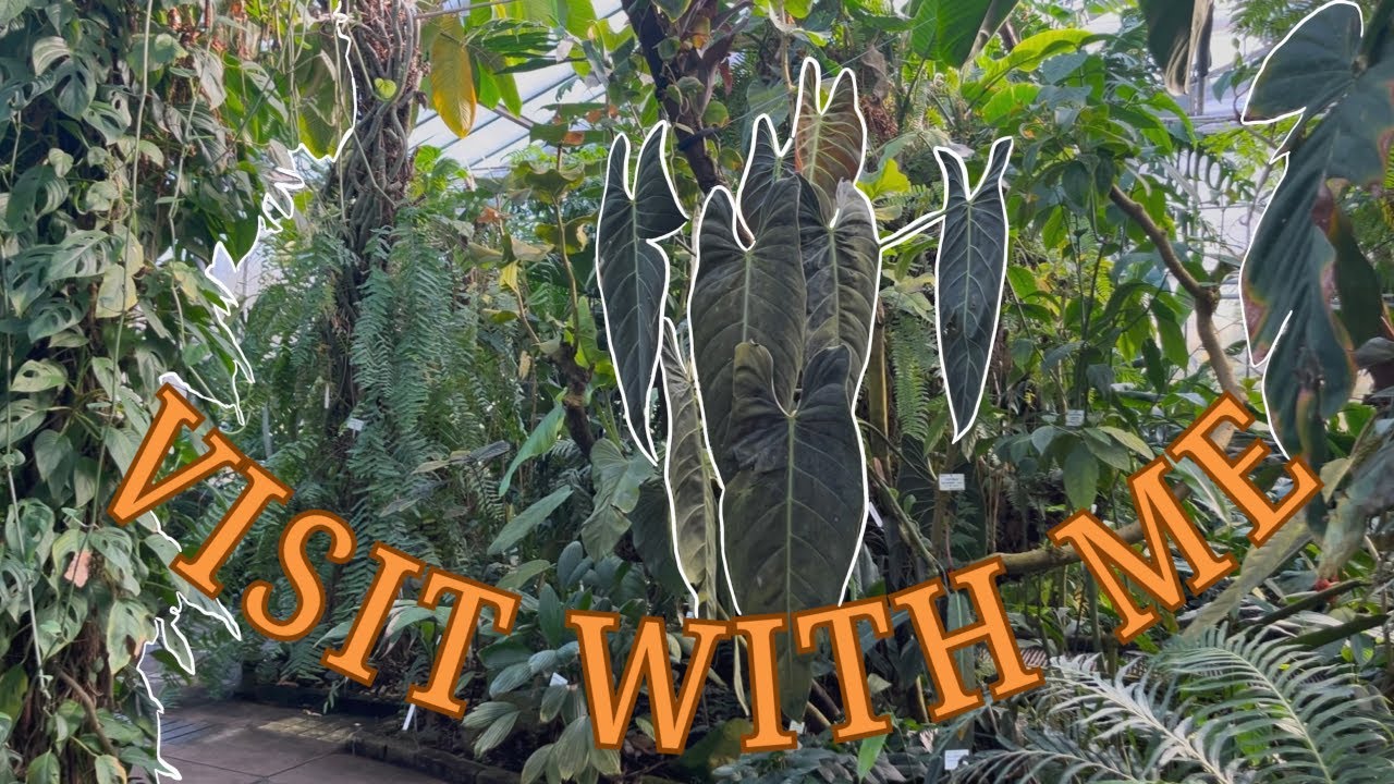 Visit The Jean-Marie Pelt Botanical Garden in France With Me!