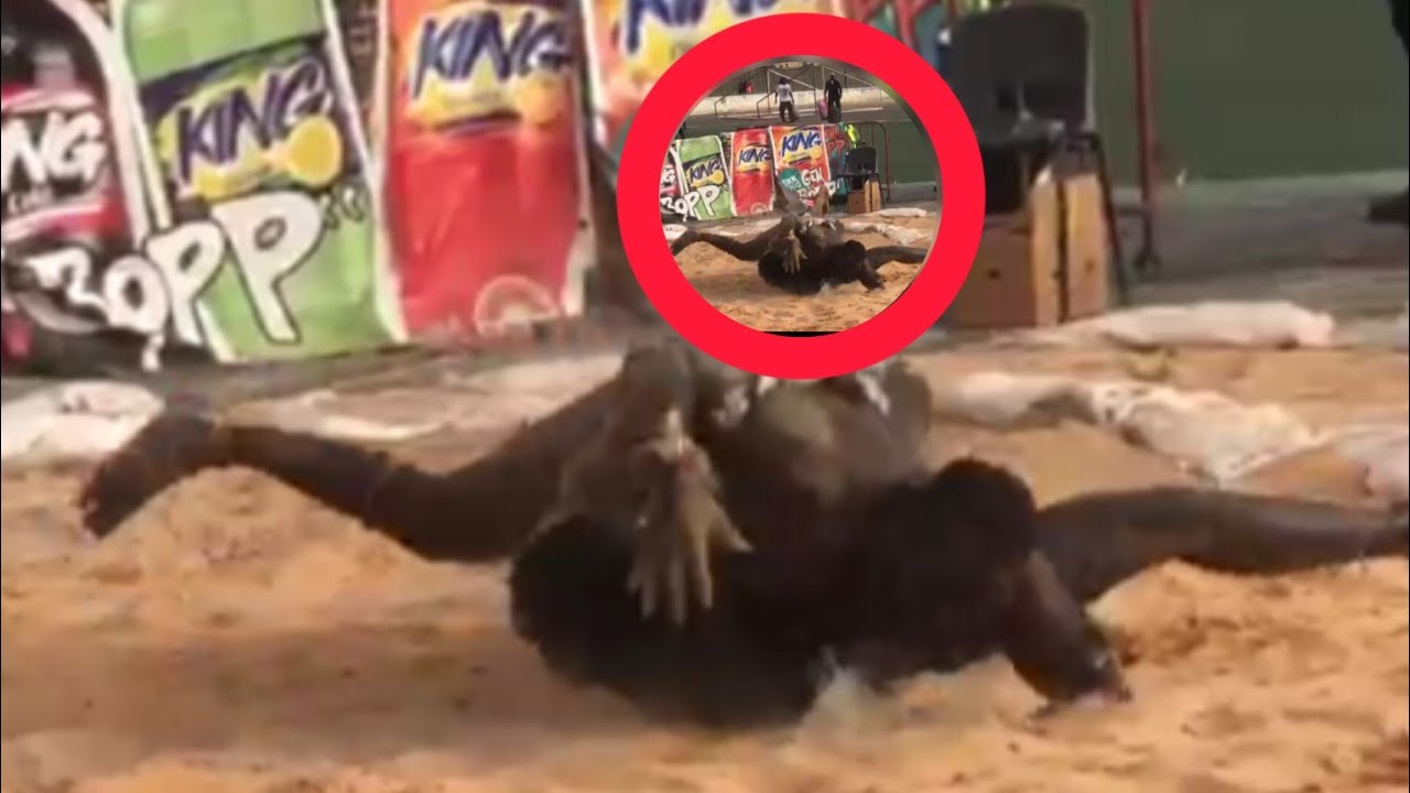 Grand comba yakhi mbambilor vs siteu beuré bou nékh am khékh am beuré