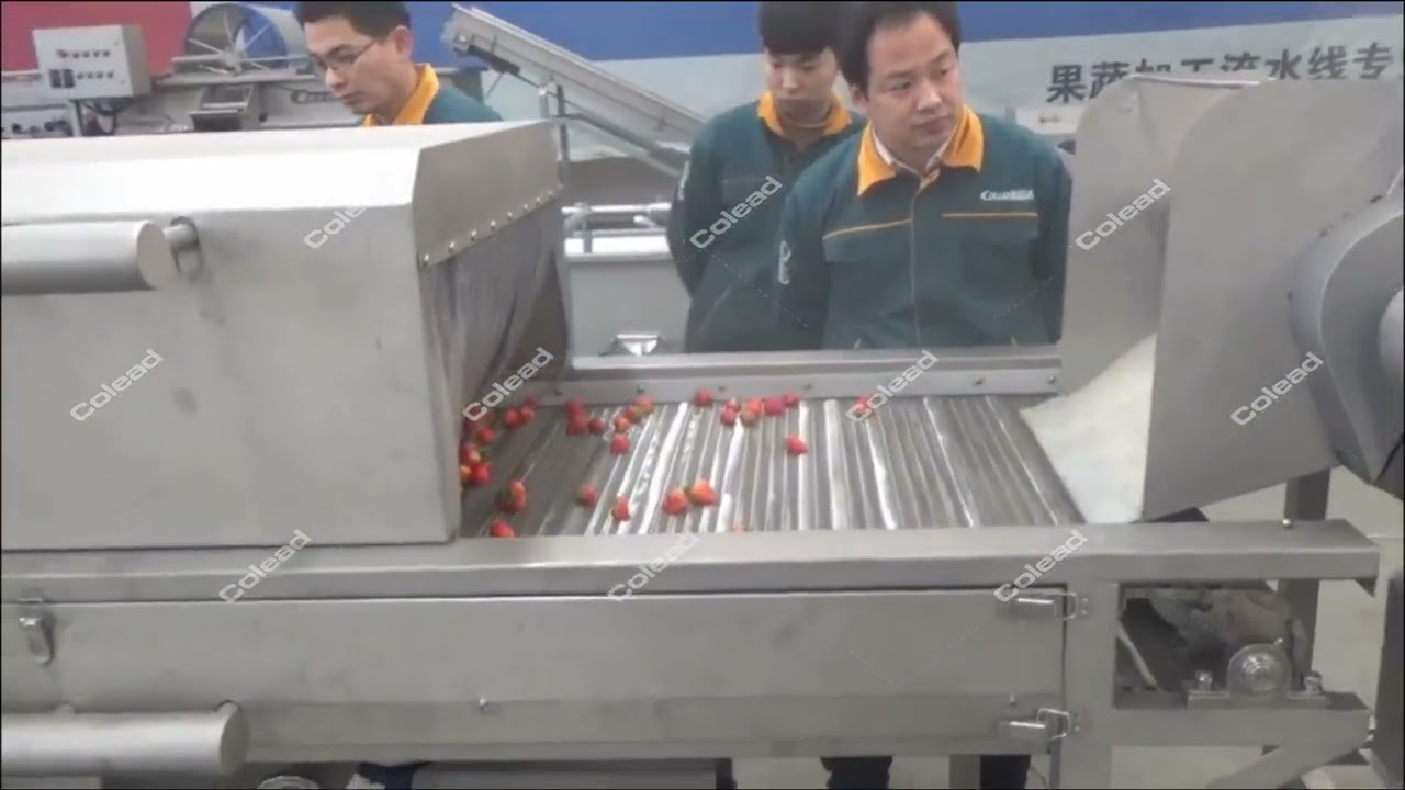 Berry strawberry washing cleaning machine | strawberry processing