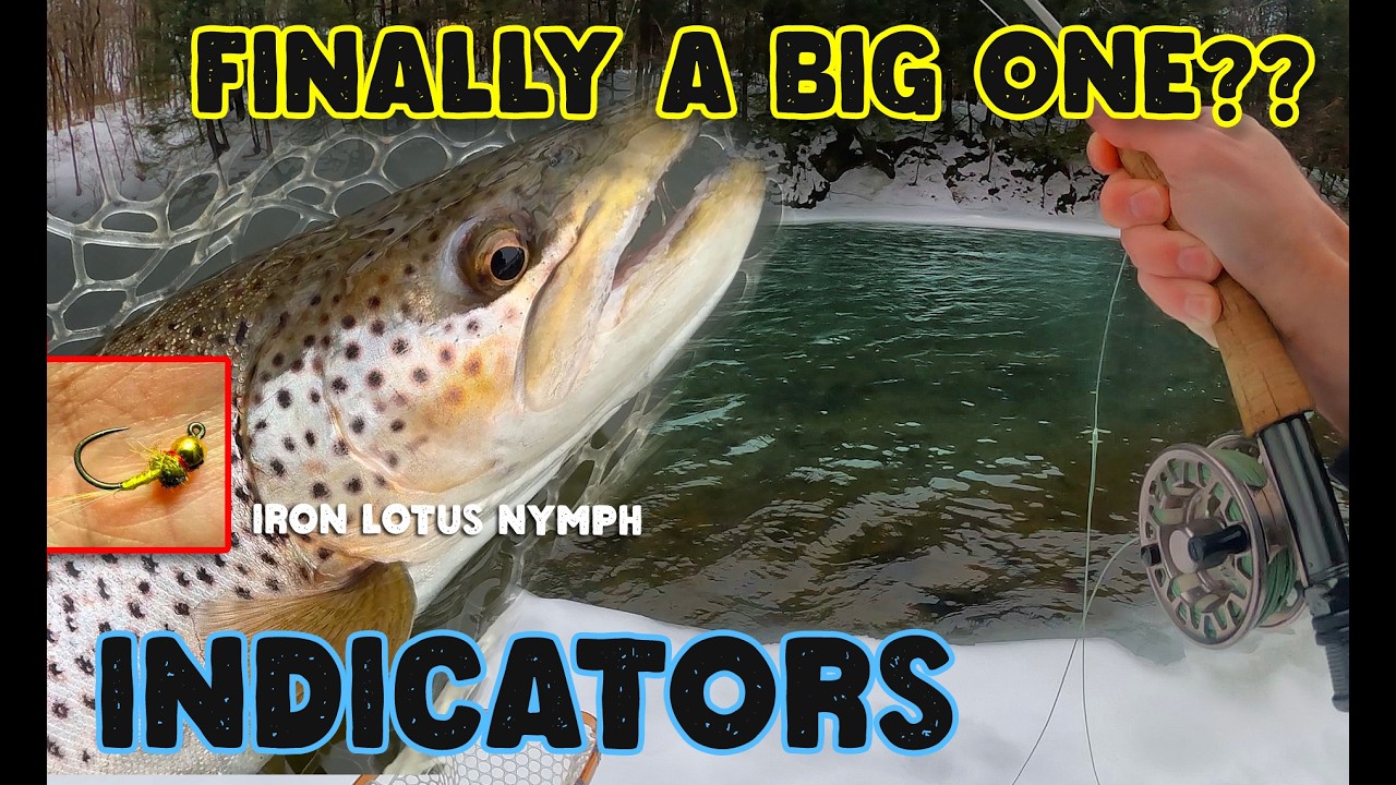 Early March Fly Fishing | 20” Brown Trout from an Upstate NY Creek
